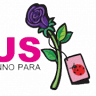 Flowers r us Craigmore