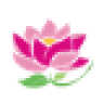 Flowers Shop