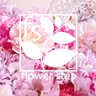 Step Flowers