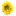 FlowerWeb.sk