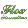 Flox Floricultura