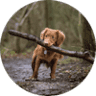 Fluegel's Lawn Garden & Pet Supply