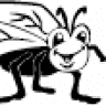 Fly Design