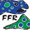 Fly Fishing Romania
