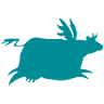 Flying Cow Ranch