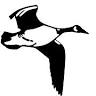 Flying Goose Campground and Resort