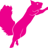 Flying Squirrel Trampoline Park
