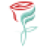 FLYN Flowers