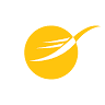 Sun International Tours and Travels