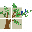 Fort Collins Montessori School