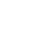 FOCUS TOURS