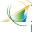 Focus Wealth Management