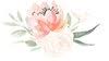 Folls Flower Farm