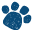 Dispensaire de la Fondation Assistance aux Animaux à Bordeaux