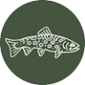 Fontinalis