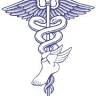 Dr. Todd C. Loftus