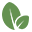 Foothills Management