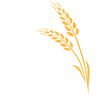 Foothills Milling Cafe
