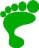 Foot Quest