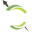 Forages du Nord Ouest