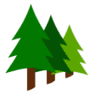 Forestal Boroa