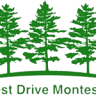Forest Drive Montessori