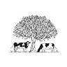 Forest Farm The Organic Dairy