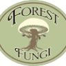Forest Fungi