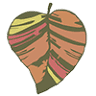 Forest Heart EcoNursery - Native Plants