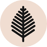 F Ø R E S T L A N E (forestlanekijkduin.nl)