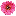 Forget Me Not Florist & Flower Preservation