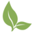 Ban Mae Sa Mai nursery