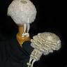 Fortitude Chambers - Criminal Defence & Civil Law Barristers