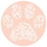 All About Paws Pet Spa LLC