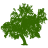Fort Atkinson Preschool Child