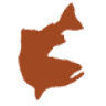 Foscoe Fishing Company & Outfitters