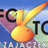 Foto Zajączek
