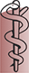 Founders Family Medicine and Urgent Care: Campbell John T MD
