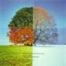Four Seasons Real Estate Inc