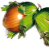 Frank Lebkuchen GmbH