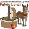 Frantoio Fulvio Lenzi