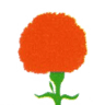 Fratelli Terracciano (S.R.L.)