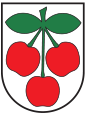 Kirchenchor