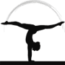 Freedom Gymnastics and Obstacle Training