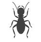 Freedom Pest Inspections and Services
