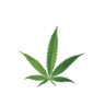 Freedom Verona Cannabis Shop