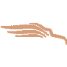 Freightonomy