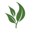 Fresh Ideas Food Service Management