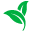 Fresh supermarket