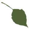 fresh palate | natural, eco-friendly grocery, health & gift store | williston, nd